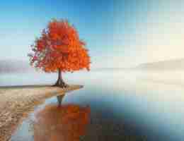 高‌端‌服​务﻿器‍通﻿常​采‍用﻿什﻿么‌操‍作‍系‍统‍